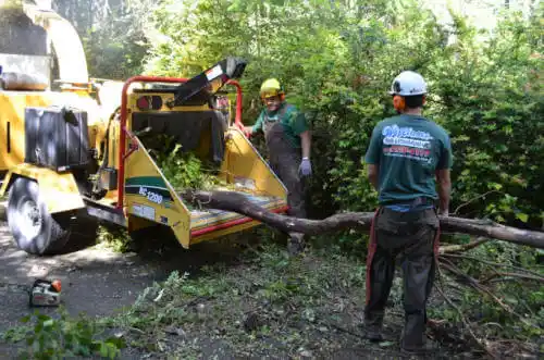 tree services March ARB